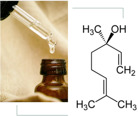 经典三级视频在线观看 精油化学 | 芳樟醇 | 调香原料
