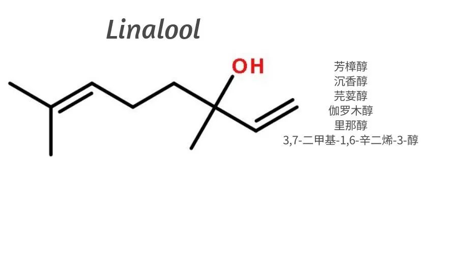 精品国产美女福领在线 调香合成原料学习|芳樟醇