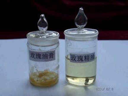 经典三级视频在线观看 香精与香料(2)-香料的生产