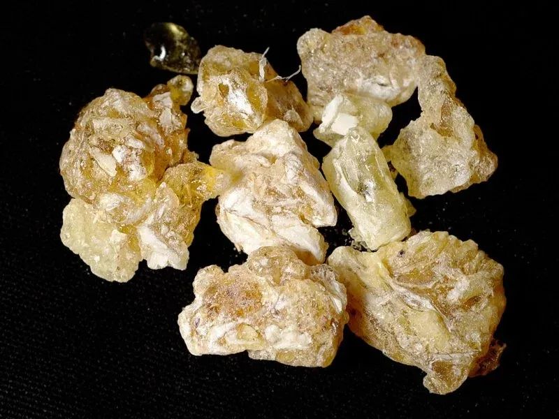 经典三级视频在线观看 香精与香料(11)-脂蜡香,膏香