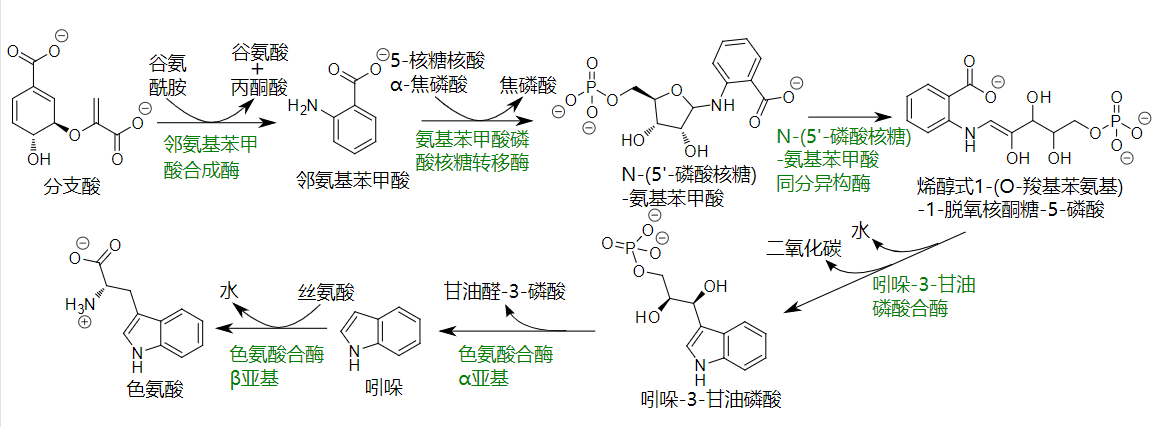 精品国产美女福领在线 香精与香料(12)-琥珀香,动物香,辛香,豆香(包括粉香)