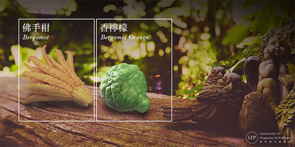 极品网红诱惑一区在线 香精与香料(13)-果香,酒香