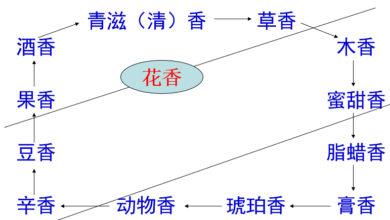 精品国产美女福领在线 香精与香料(14)