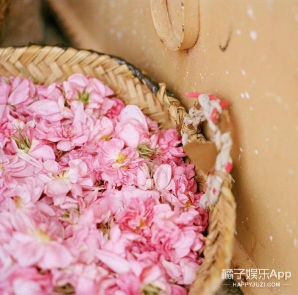 极品网红诱惑一区在线 香水不仅有花香调和果香调还有这6大香调
