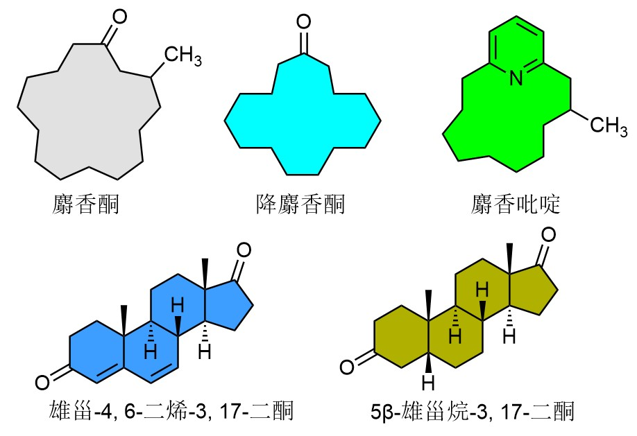 经典三级视频在线观看 香精与香料(17)-香型与分子结构特征的关系