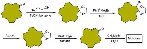 经典三级视频在线观看 香精与香料(17)-香型与分子结构特征的关系