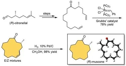经典三级视频在线观看 香精与香料(17)-香型与分子结构特征的关系