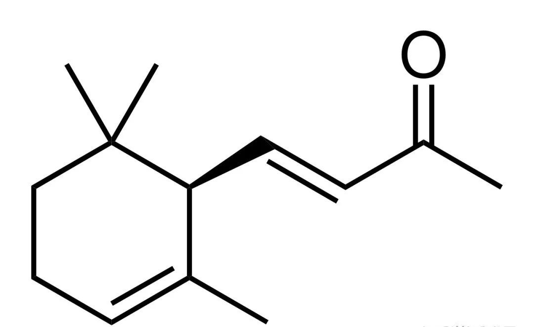 经典三级视频在线观看 香精与香料(17)-香型与分子结构特征的关系