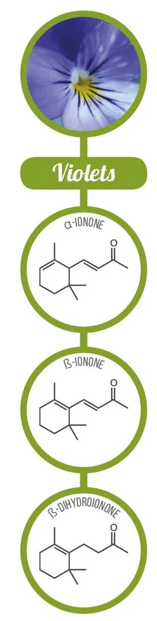 经典三级视频在线观看 香精与香料(17)-香型与分子结构特征的关系