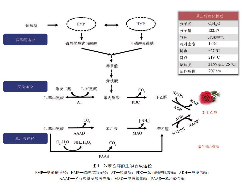 精品国产美女福领在线 香精与香料(27)—说说苯乙醇