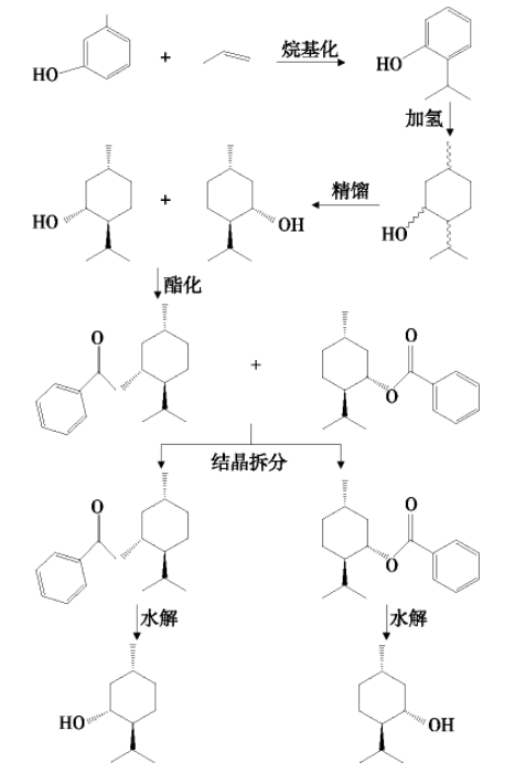 精品国产美女福领在线 香精与香料(30)—薄荷脑