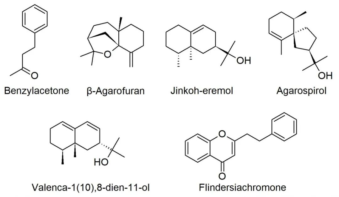 极品网红诱惑一区在线 香精与香料(33)—沉香螺醇与沉香油