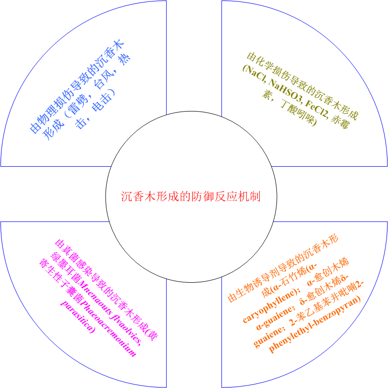 极品网红诱惑一区在线 香精与香料(33)—沉香螺醇与沉香油