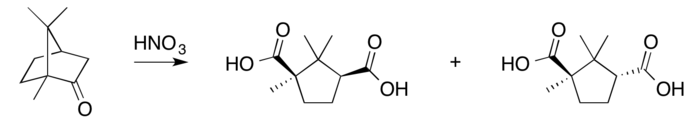 经典三级视频在线观看 香精与香料(49)—樟脑(莰酮、龙脑酮)
