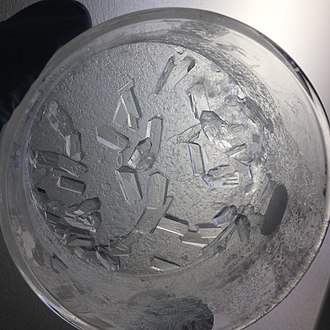 精品国产美女福领在线 香精与香料(57)—诺卡酮(Nootkatone)