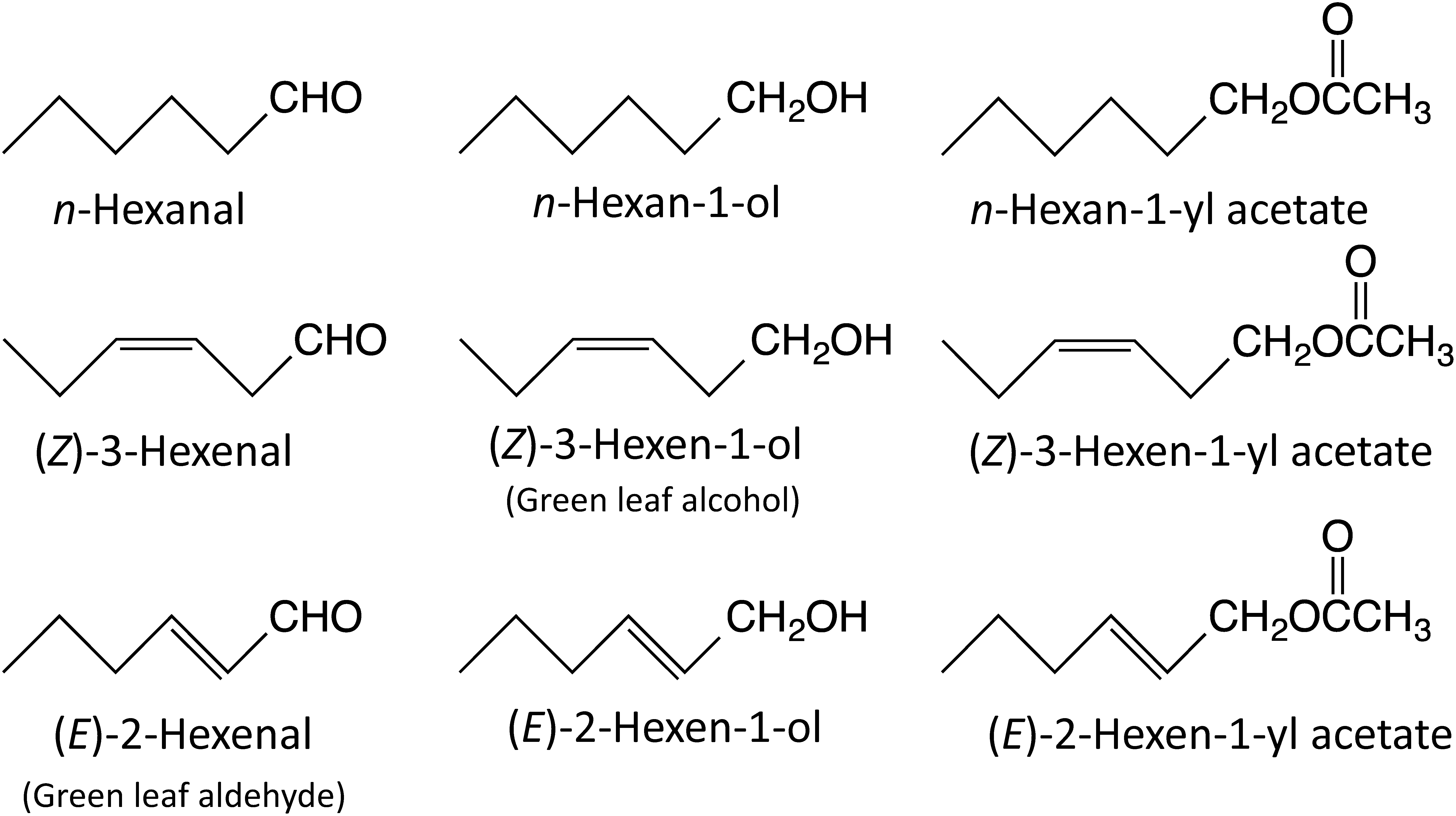 极品网红诱惑一区在线 香精与香料(67)—叶醇