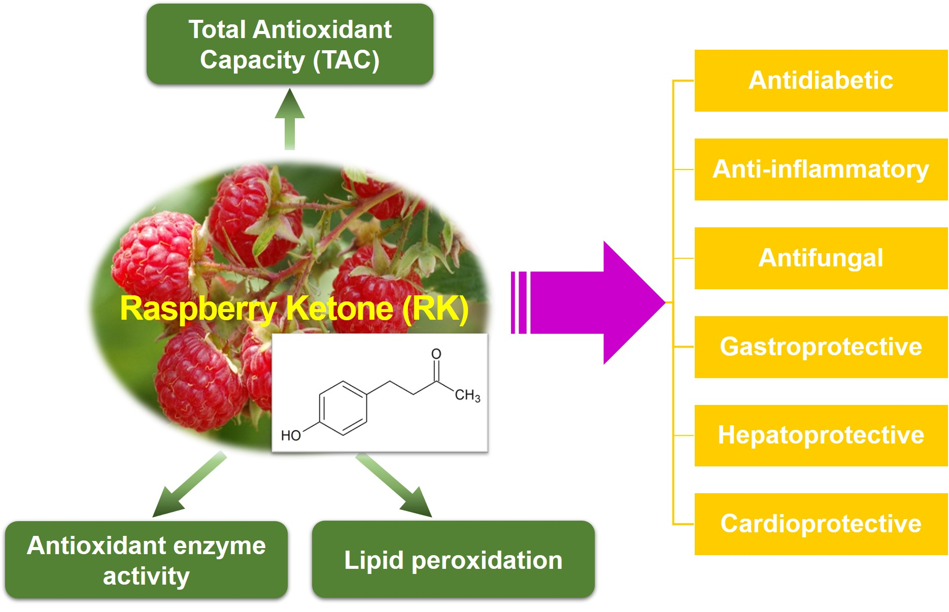 香精与香料(71)—覆盆子酮(Raspberry ketone)