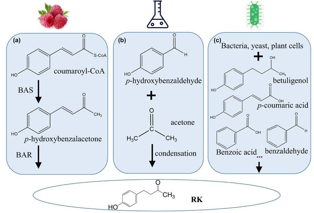 香精与香料(71)—覆盆子酮(Raspberry ketone)