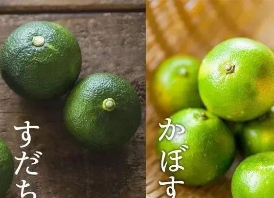 极品网红诱惑一区在线 香精与香料(72)—柚子酮(Yuzunone)