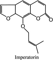 经典三级视频在线观看 香精与香料(78)—香白芷