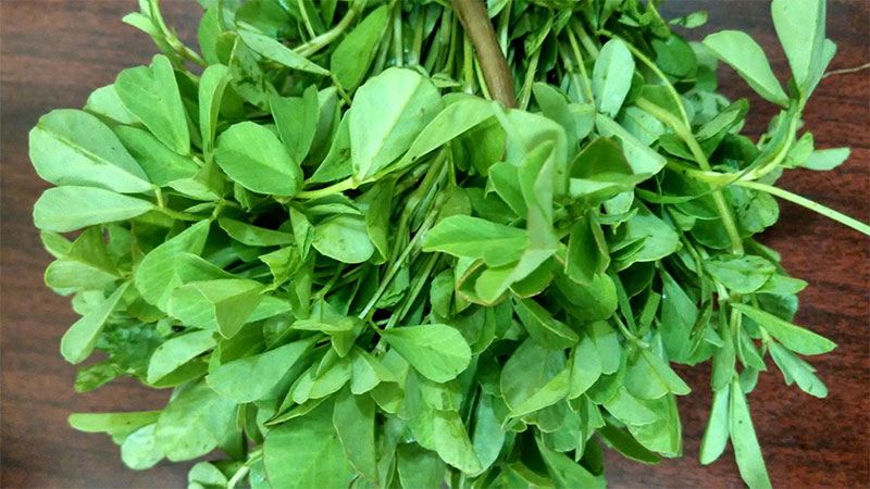 香精与香料(80)—葫芦巴浸膏(Fenugreek concrete)