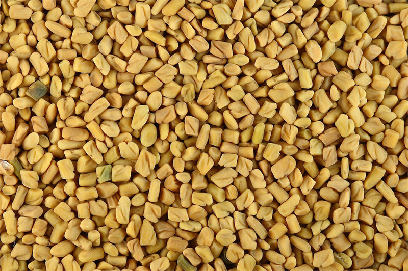 香精与香料(80)—葫芦巴浸膏(Fenugreek concrete)