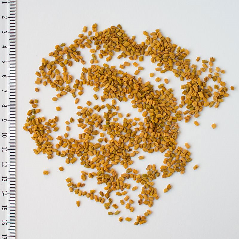 香精与香料(80)—葫芦巴浸膏(Fenugreek concrete)