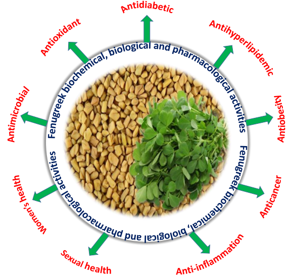 香精与香料(80)—葫芦巴浸膏(Fenugreek concrete)
