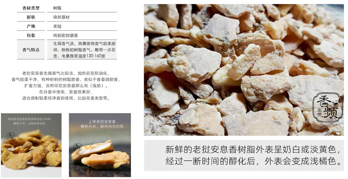 精品国产美女福领在线 香精与香料(81)—安息香