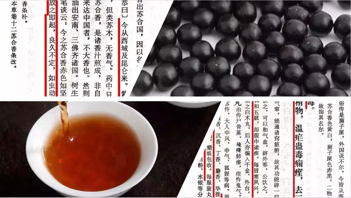 经典三级视频在线观看 香精与香料(82)—苏合香(Storax balsam)