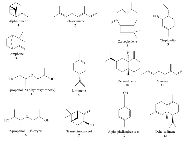 极品网红诱惑一区在线 香精与香料(83)—乳香(Frankincense)