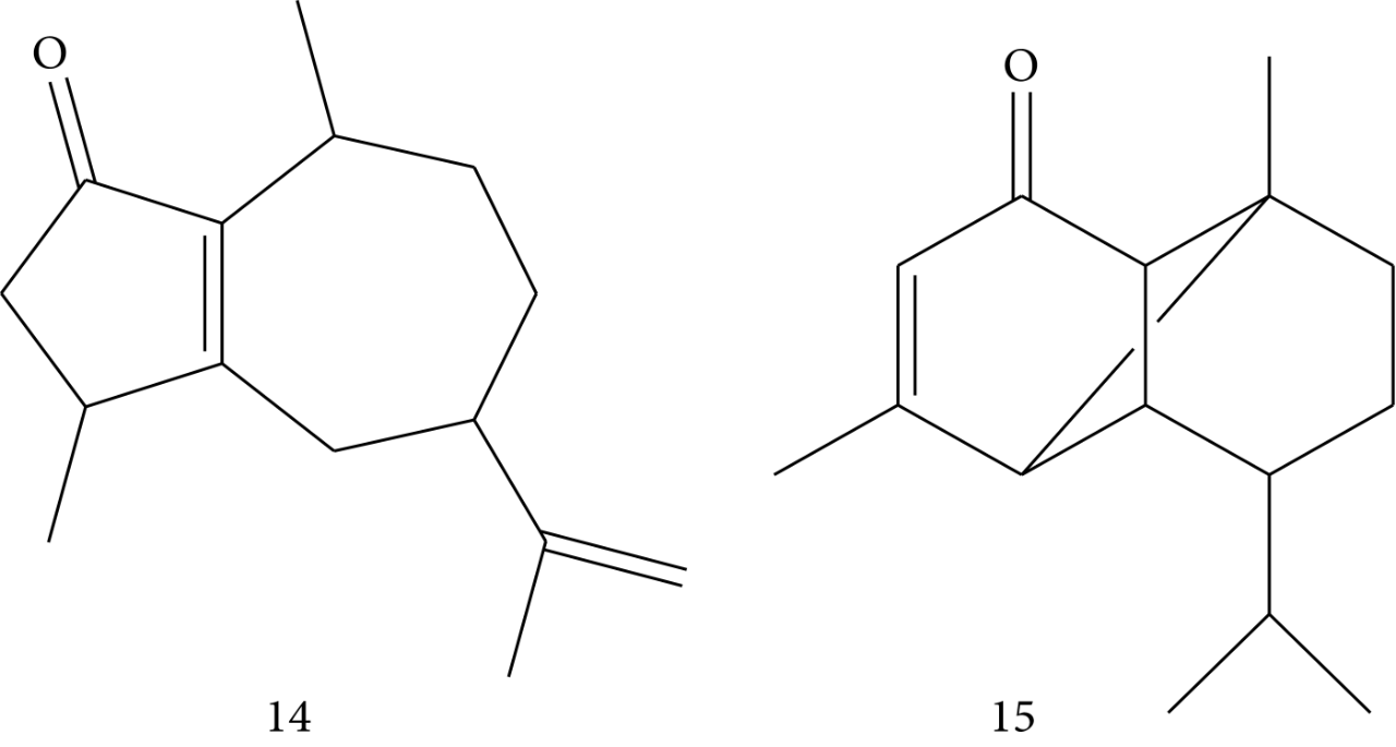 极品网红诱惑一区在线 香精与香料(83)—乳香(Frankincense)