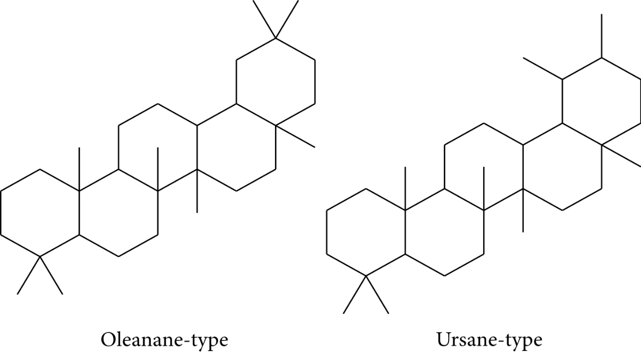 极品网红诱惑一区在线 香精与香料(83)—乳香(Frankincense)