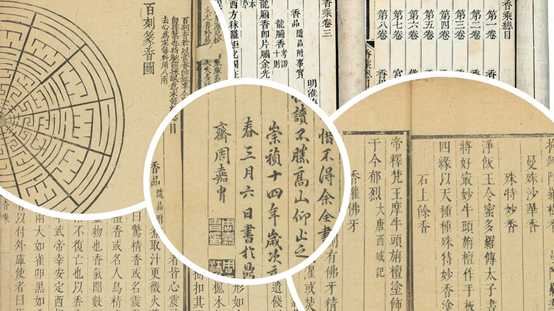 精品国产美女福领在线 香精与香料(86)—香附(Rhizoma Cyperi)