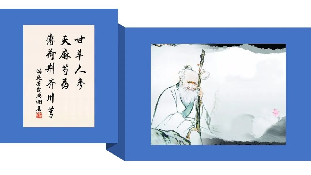 经典三级视频在线观看 香精与香料(87)—川芎