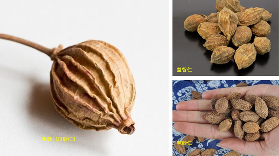 经典三级视频在线观看 香精与香料(88)—砂仁