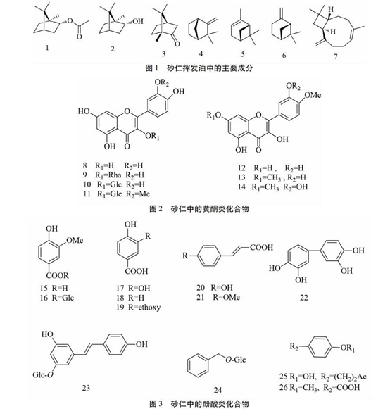 经典三级视频在线观看 香精与香料(88)—砂仁