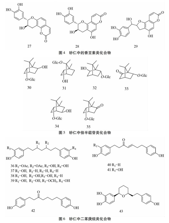 经典三级视频在线观看 香精与香料(88)—砂仁