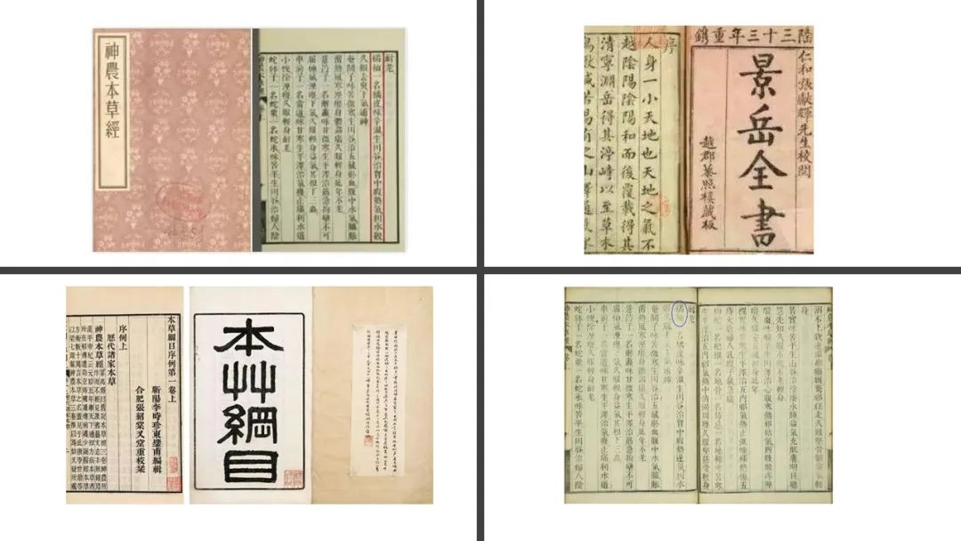 极品网红诱惑一区在线 香精与香料(89)—陈皮
