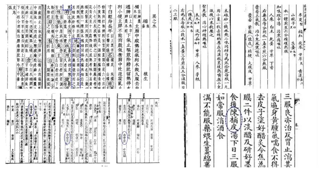 极品网红诱惑一区在线 香精与香料(89)—陈皮