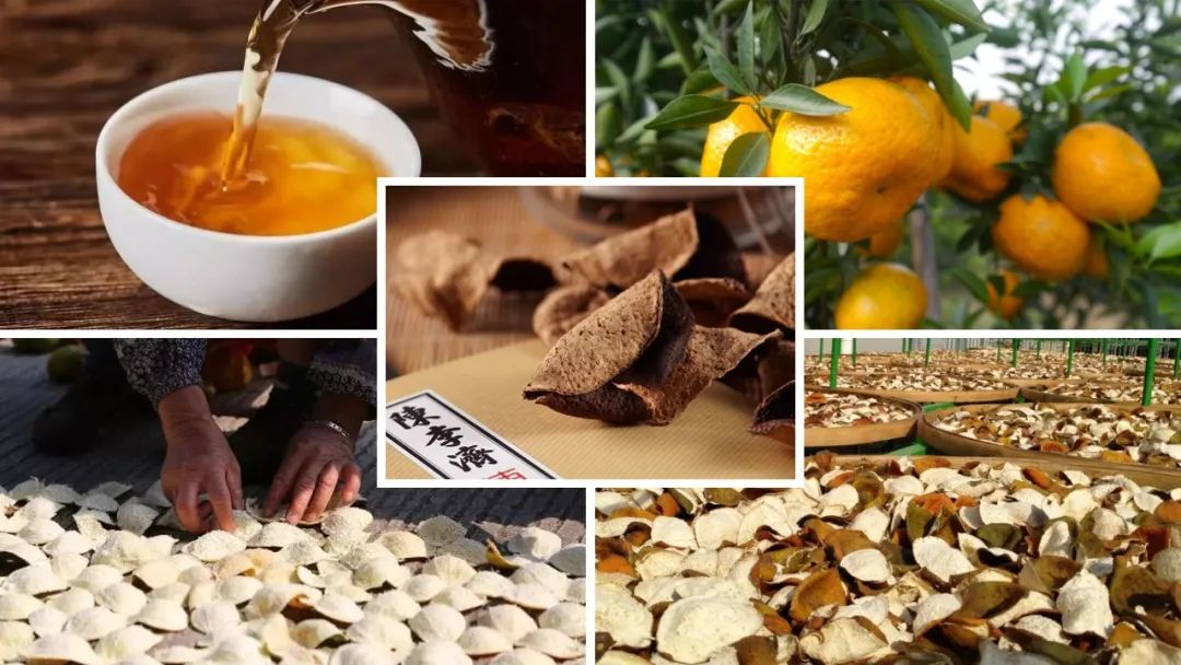 极品网红诱惑一区在线 香精与香料(89)—陈皮