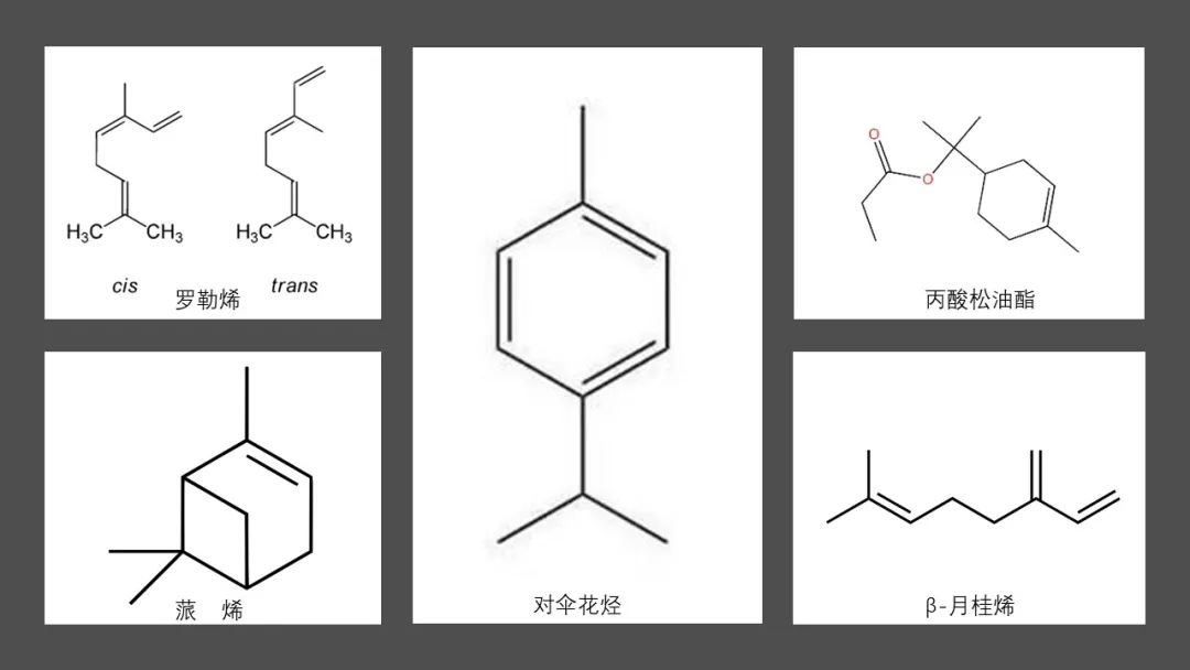 极品网红诱惑一区在线 香精与香料(91)—香橼