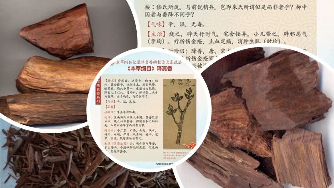 经典三级视频在线观看 香精与香料(94)—降真香