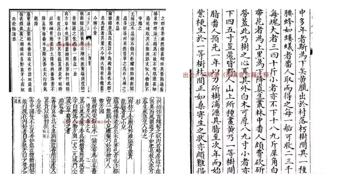 经典三级视频在线观看 香精与香料(94)—降真香
