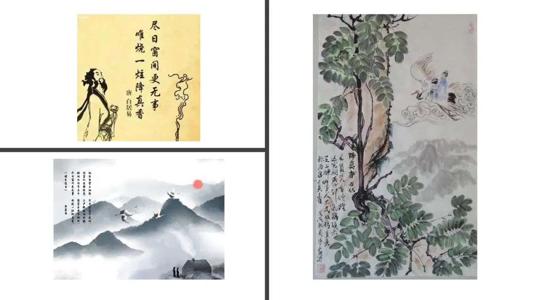 经典三级视频在线观看 香精与香料(94)—降真香