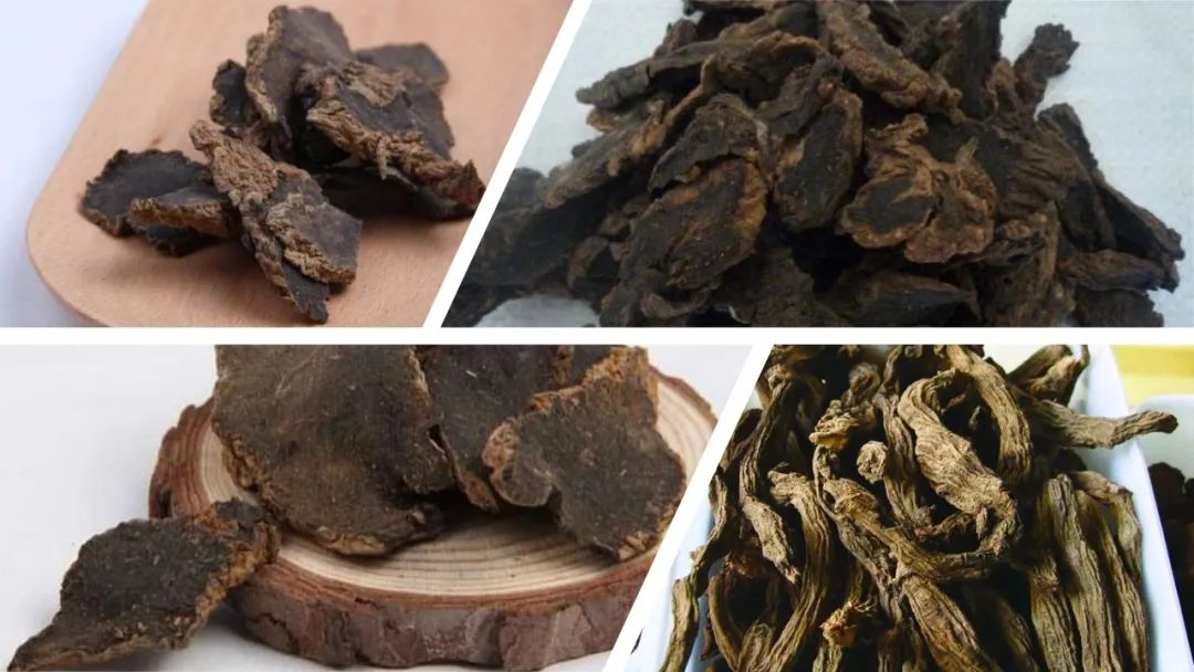 经典三级视频在线观看 香精与香料(95)—玄参