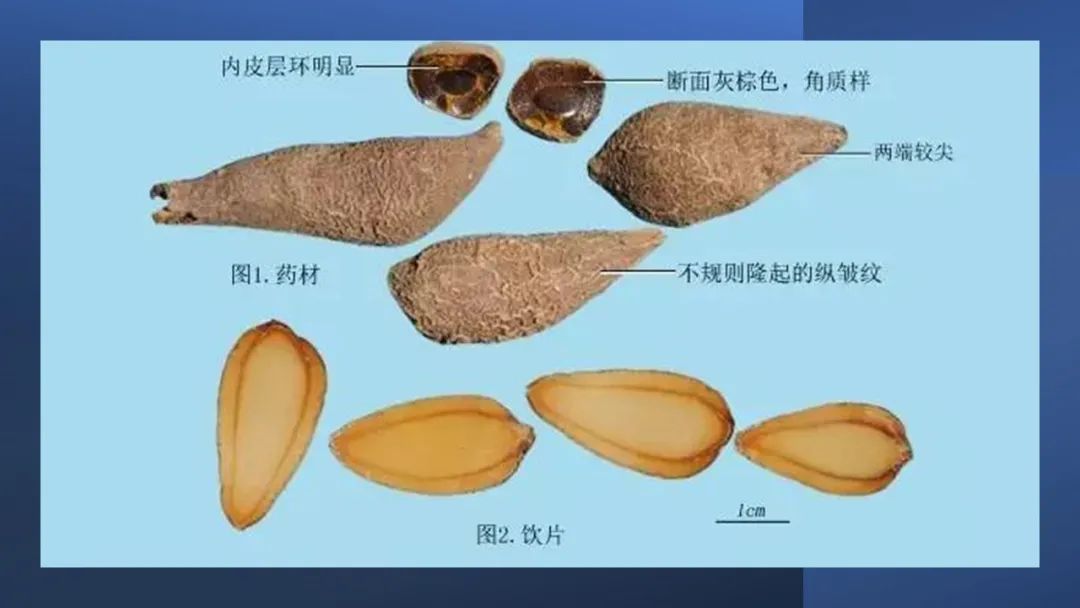 极品网红诱惑一区在线 香精与香料(97)—郁金
