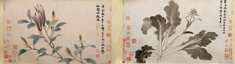 极品网红诱惑一区在线 香精与香料(98)—辛夷