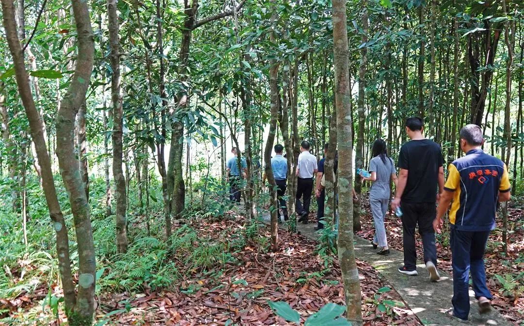 经典三级视频在线观看 广西香料香精：谋篇布局创“双千”