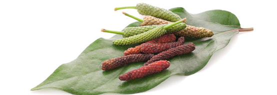 经典三级视频在线观看 香精与香料(102)-荜茇